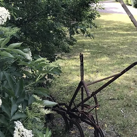 Hébergement de vacances L'orée De La Cité