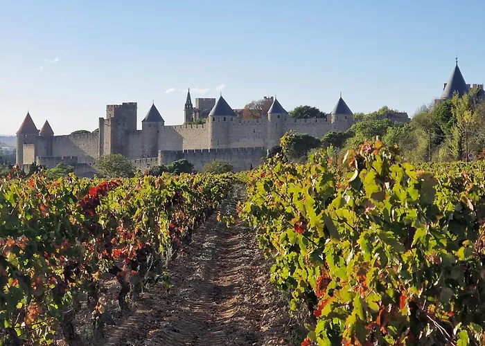 L'oree De La Cite * Carcassonne